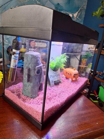  Aquarium compleet beschikbaar voor biedingen