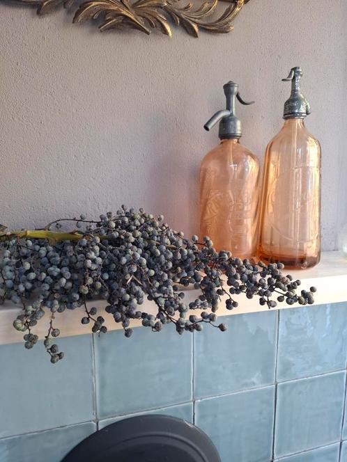 Gedroogde dadeltak droogbloemen sober wonen aura peeperkorn, Huis en Inrichting, Woonaccessoires | Droogbloemen, Nieuw, Ophalen of Verzenden
