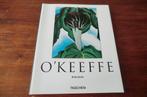 boek - Georgia O'Keeffe - 1887-1986 - Britta Benke, Ophalen of Verzenden, Zo goed als nieuw, Schilder- en Tekenkunst