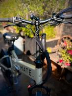 Mate X Bike zgan, Fietsen en Brommers, Fietsen | Vouwfietsen, Ophalen, Zo goed als nieuw, 20 inch of meer