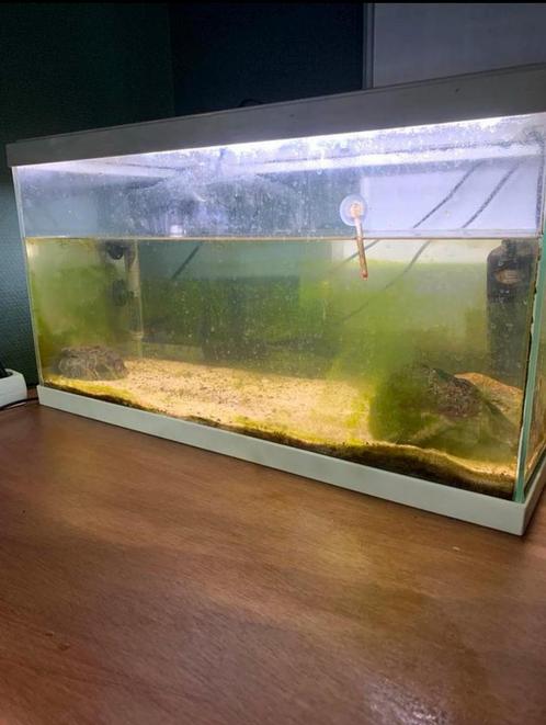 Superfish aquarium, Dieren en Toebehoren, Vissen | Aquaria en Toebehoren, Ophalen of Verzenden