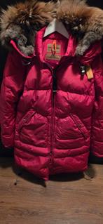 Parajumpers jas, Parajumpers, Gedragen, Rood, Ophalen