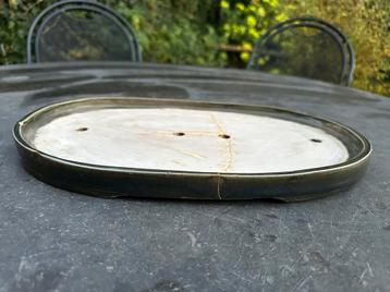 Donkergroene lage bonsaischaal handgemaakt beschikbaar voor biedingen