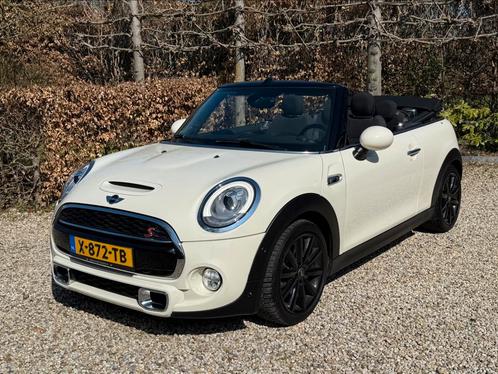 COOPER S CHILI AUTOMAAT - PEPPER WHITE - VEEL OPTIES, Auto's, Mini, Bedrijf, Cabrio, ABS, Adaptieve lichten, Airbags, Airconditioning