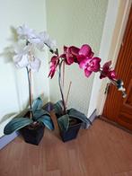 Kunst Orchideeën Set, Huis en Inrichting, Kamerplanten, Overige soorten, In pot, Minder dan 100 cm, Bloeiende kamerplant