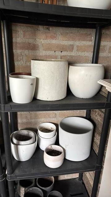 Diverse witte potten beschikbaar voor biedingen