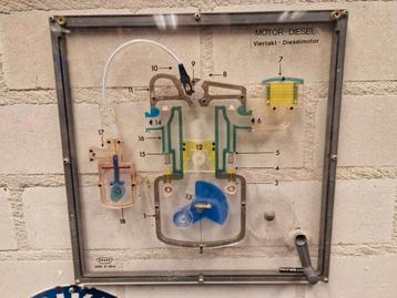 Enosa Viertakt Dieselmotor Demonstratiemodel - Educatief beschikbaar voor biedingen