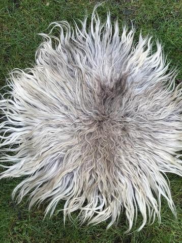 Drents Heideschaap wit - grijs - bruin 55 x 65 cm vilt vacht beschikbaar voor biedingen