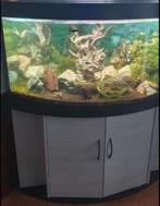 Juwel Trigon 350 hoekaquarium voor ~200L aquarium, Dieren en Toebehoren, Vissen | Aquaria en Toebehoren, Ophalen, Zo goed als nieuw