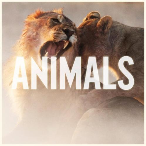 Maroon 5 - Animals (NIEUW & SEALED), Cd's en Dvd's, Cd Singles, Nieuw in verpakking, Ophalen of Verzenden