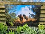 Friese paarden tuinwand decoratie/ afbeelding, Zo goed als nieuw, Ophalen