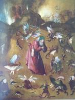 Jheronimus Bosch. Visioenen van een genie, Boeken, M. Ilsink, Ophalen of Verzenden, Zo goed als nieuw, Schilder- en Tekenkunst