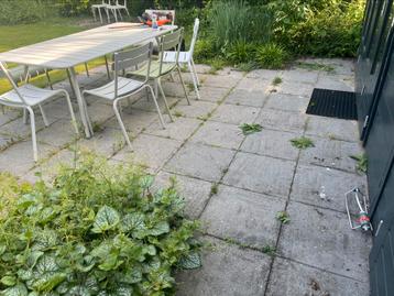 Onkruid verwijderen €3,50 per m2 beschikbaar voor biedingen
