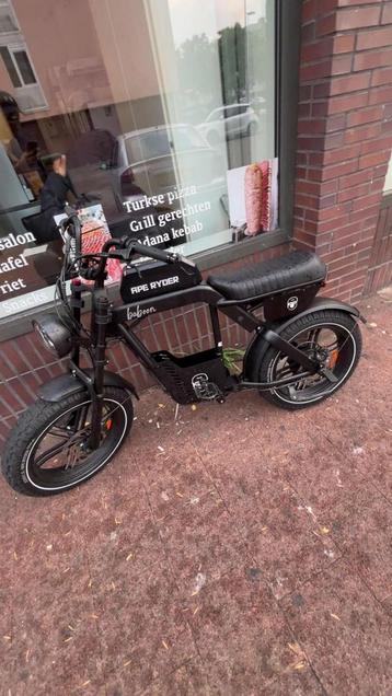 Ape ryder baboon model beschikbaar voor biedingen