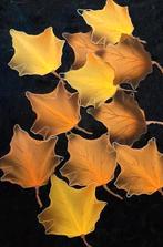 11 herfstbladeren- metaal- stof, Ophalen of Verzenden