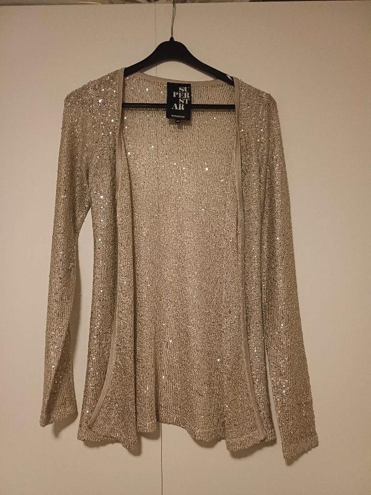 Glitter Vest, Kleding | Dames, Truien en Vesten, Zo goed als nieuw, Maat 34 (XS) of kleiner, Beige, Ophalen of Verzenden