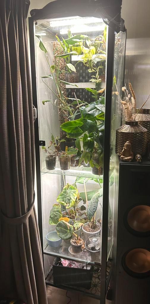 Greenhouse - Plantenkas - Vitrinekast 💚🌱, Huis en Inrichting, Kasten | Vitrinekasten, Gebruikt, 150 tot 200 cm, Minder dan 50 cm