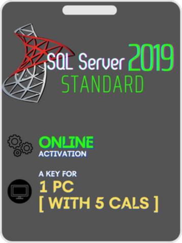 Microsoft SQL Server 2019 Standard met 5 User Cals