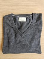 Profuomo pullover, Maat 48/50 (M), Ophalen of Verzenden, Grijs, Profuomo