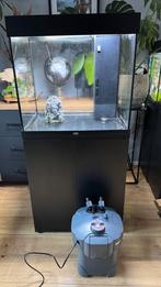 Aquarium juwel 120l met kast, Ophalen, Zo goed als nieuw, Leeg aquarium