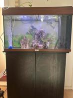 Juwel Aquarium Rio 125 Led 80x35x50 cm  - Zwart Ca. 125 L, Dieren en Toebehoren, Vissen | Aquaria en Toebehoren, Ophalen, Zo goed als nieuw