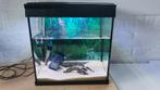 Aquarium te koop, Ophalen of Verzenden, Zo goed als nieuw, Leeg aquarium