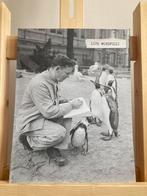 Foto uit flow/ zwartvoetpinguïns / Artis / tekenen 1963, Minder dan 50 cm, Ophalen of Verzenden, Zo goed als nieuw, Foto of Poster