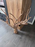 Decoratief gedroogd hout / sieraden standaard, Ophalen