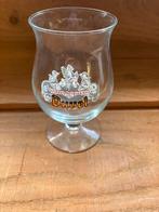 Duvel bierglas, Ophalen of Verzenden, Zo goed als nieuw, Glas of Glazen, Duvel