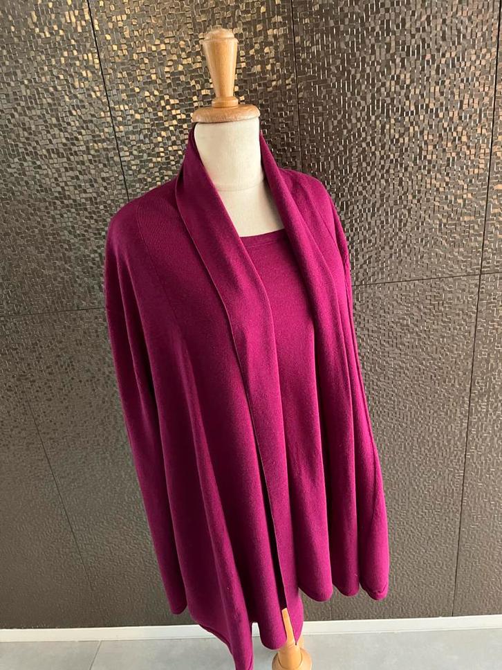 Peter Hahn Twinset Fuchsia Maat 44, Kleding | Dames, Truien en Vesten, Zo goed als nieuw, Maat 42/44 (L), Roze, Ophalen of Verzenden