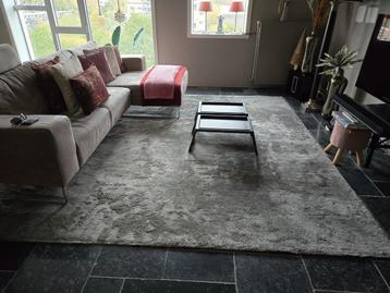 Minotti carpet/rug/vloerkleed. 300x300cm. Grijs. beschikbaar voor biedingen
