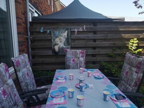 Gender reveal party spullen boy or girl? Baby/geboorte, Hobby en Vrije tijd, Feestartikelen, Zo goed als nieuw, Versiering, Geboorte of Huwelijk