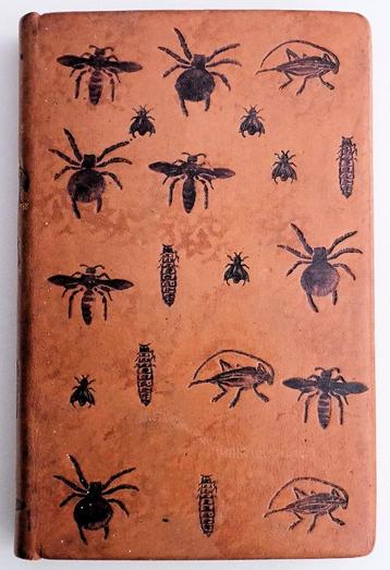 [Binding] Les Merveilles de l’Instinct chez les Insects 1913 beschikbaar voor biedingen