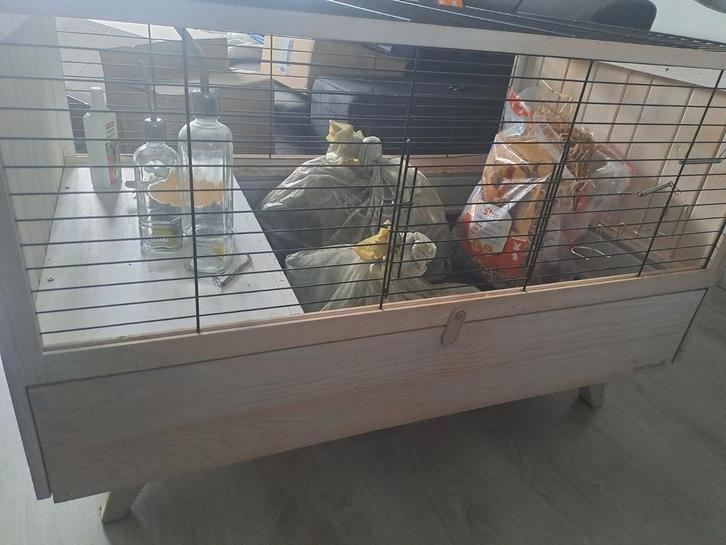 Cavia/ konijnen kooi, Dieren en Toebehoren, Knaagdieren en Konijnen | Hokken en Kooien, Gebruikt, Kooi, 60 tot 90 cm, 75 tot 110 cm