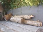 Stookhout, Tuin en Terras, Haardhout, Minder dan 3 m³, Ophalen, Overige houtsoorten, Stammen