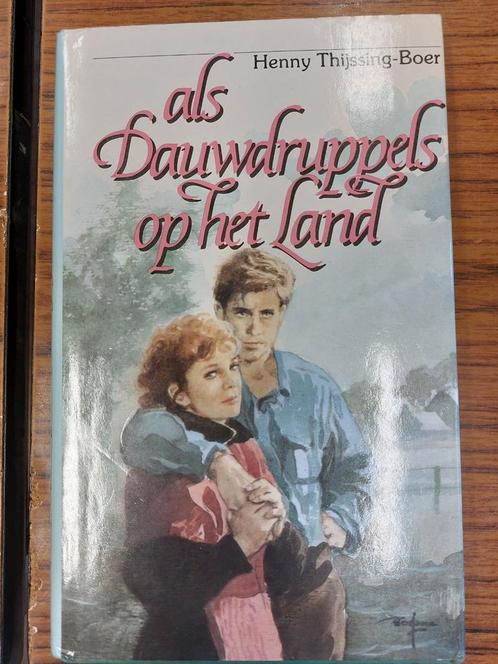 Streekromans van Henny Thijssing-Boer, Boeken, Streekboeken en Streekromans, Gelezen, Ophalen of Verzenden