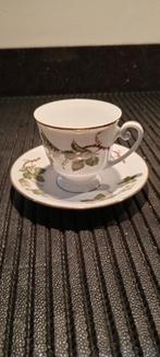 Tirschenreuth kop en schotel, Ophalen of Verzenden