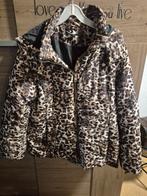 Leuke H&M Jas met Luipaardprint - Maat L, H&M, Bruin, Maat 42/44 (L), Ophalen of Verzenden