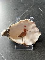 Vogel in Schelp, Ophalen of Verzenden, Nieuw