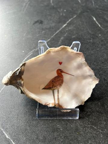Vogel in Schelp beschikbaar voor biedingen