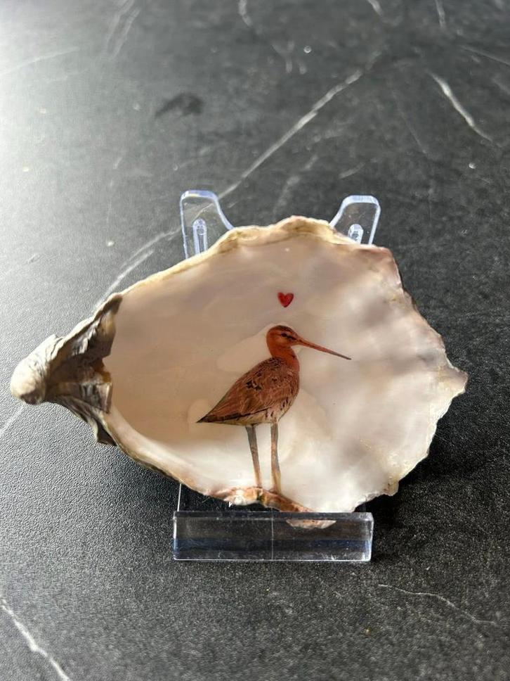 Vogel in Schelp, Huis en Inrichting, Woonaccessoires | Wanddecoraties, Nieuw, Ophalen of Verzenden