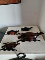 2768 houten Schildpadden Set - Handgemaakt, Antiek en Kunst, Ophalen of Verzenden