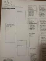 Jonge duiven, Dieren en Toebehoren, Vogels | Overige Vogels, Meerdere dieren