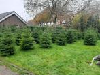 kerstbomen in diverse soorten en maten, Diversen, Kerst, Ophalen of Verzenden