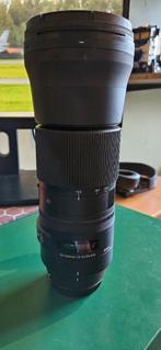 Sigma 150-600mm F/5-6.3 DG OS HSM Contemporary Canon EF, Ophalen, Gebruikt