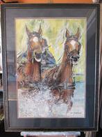 paarden schilderijen 6 stuks, Ophalen