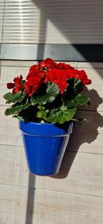 Handgemaakte spaanse muurpot blauw!, Rond, Nieuw, Ophalen of Verzenden, Tuin