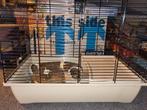 Hamster kooi, Minder dan 60 cm, Kooi, Minder dan 75 cm, Ophalen of Verzenden