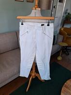 Pauw broek maat 36, Kleding | Dames, Broeken en Pantalons, Wit, Pauw, Ophalen of Verzenden, Zo goed als nieuw