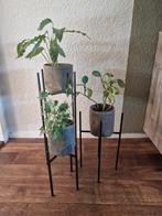 3 zwarte plantenzuilen (Intratuin), Huis en Inrichting, Woonaccessoires | Zuilen en Pilaren, Ophalen of Verzenden, Zo goed als nieuw